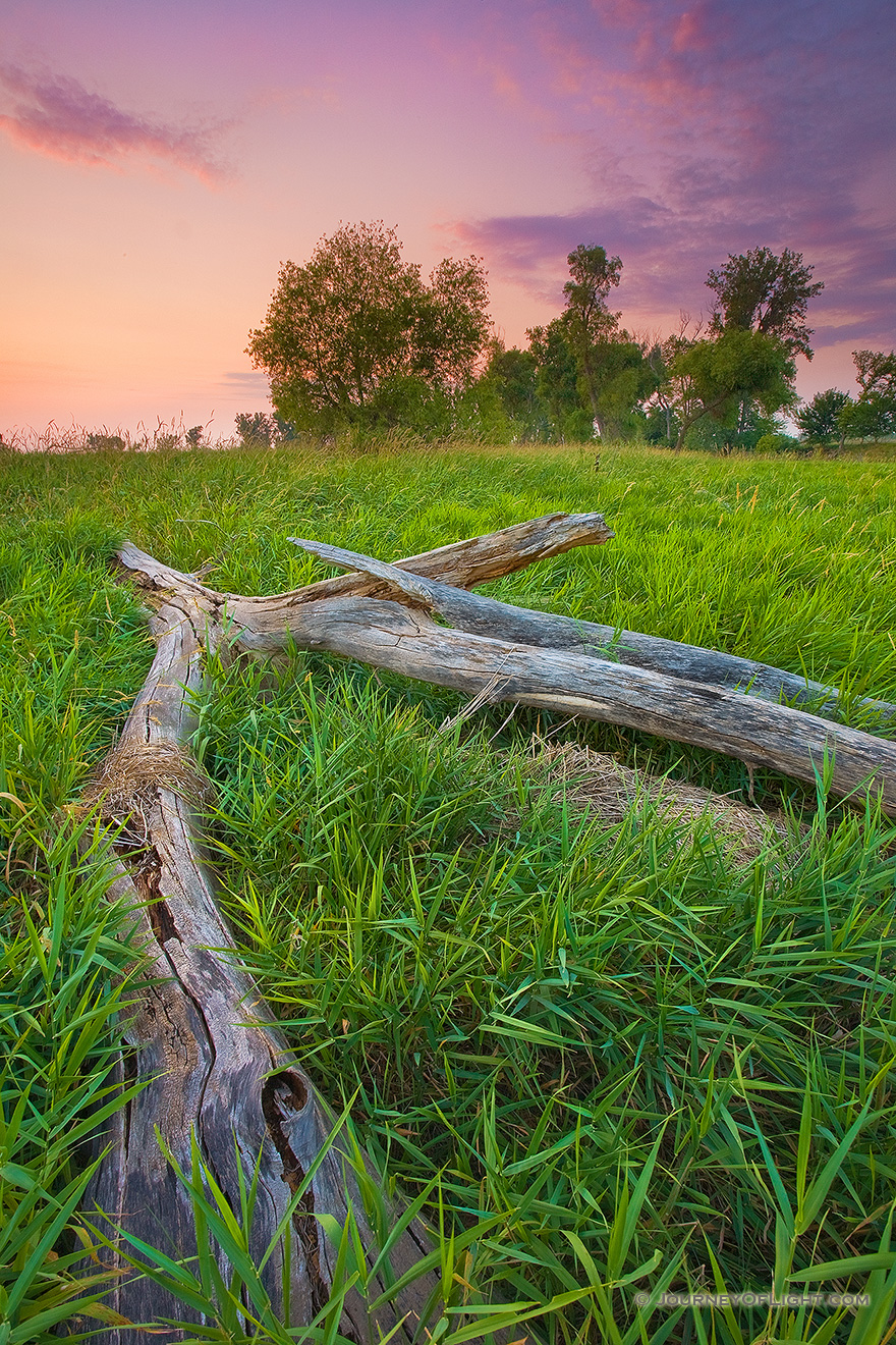 Evening descends at Boyer Chute National Wildlife Refuge. - Boyer Chute Picture