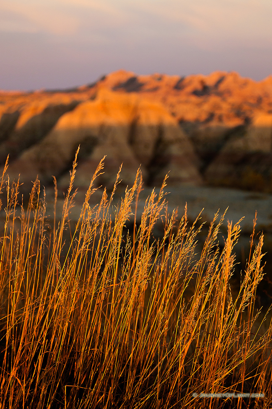 Just as dusk falls on a warm summer afternoon the final light of the sun illuminates prairie grass and the tops of the craggy landscape in Badlands National Park in South Dakota. - South Dakota,Landscape Picture