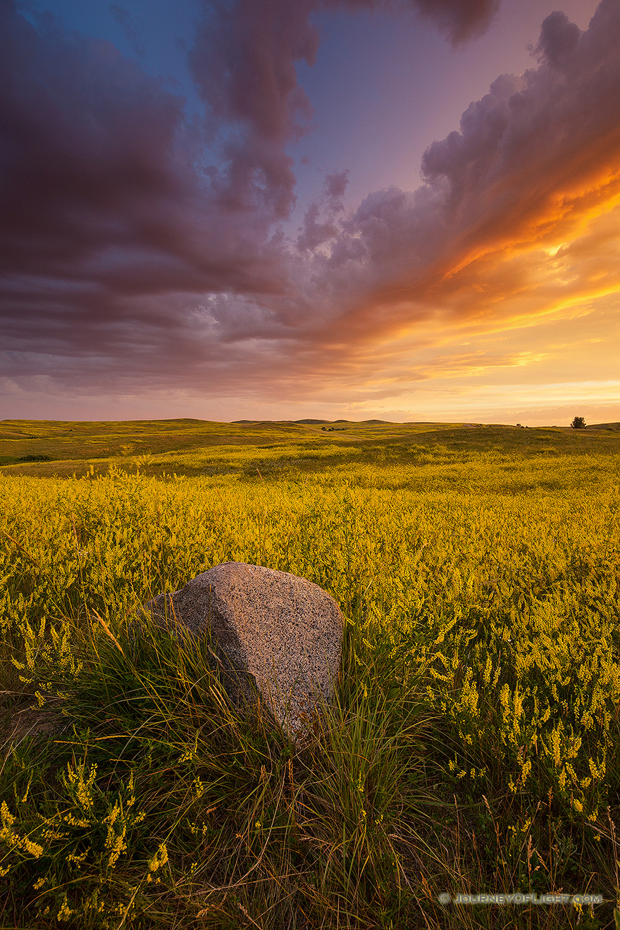 Clouds from a passing storm are illuminated by the brilliant warm hues of the rising sun above a field of wildflowers in Theodore Roosevelt National Park. - North Dakota Picture