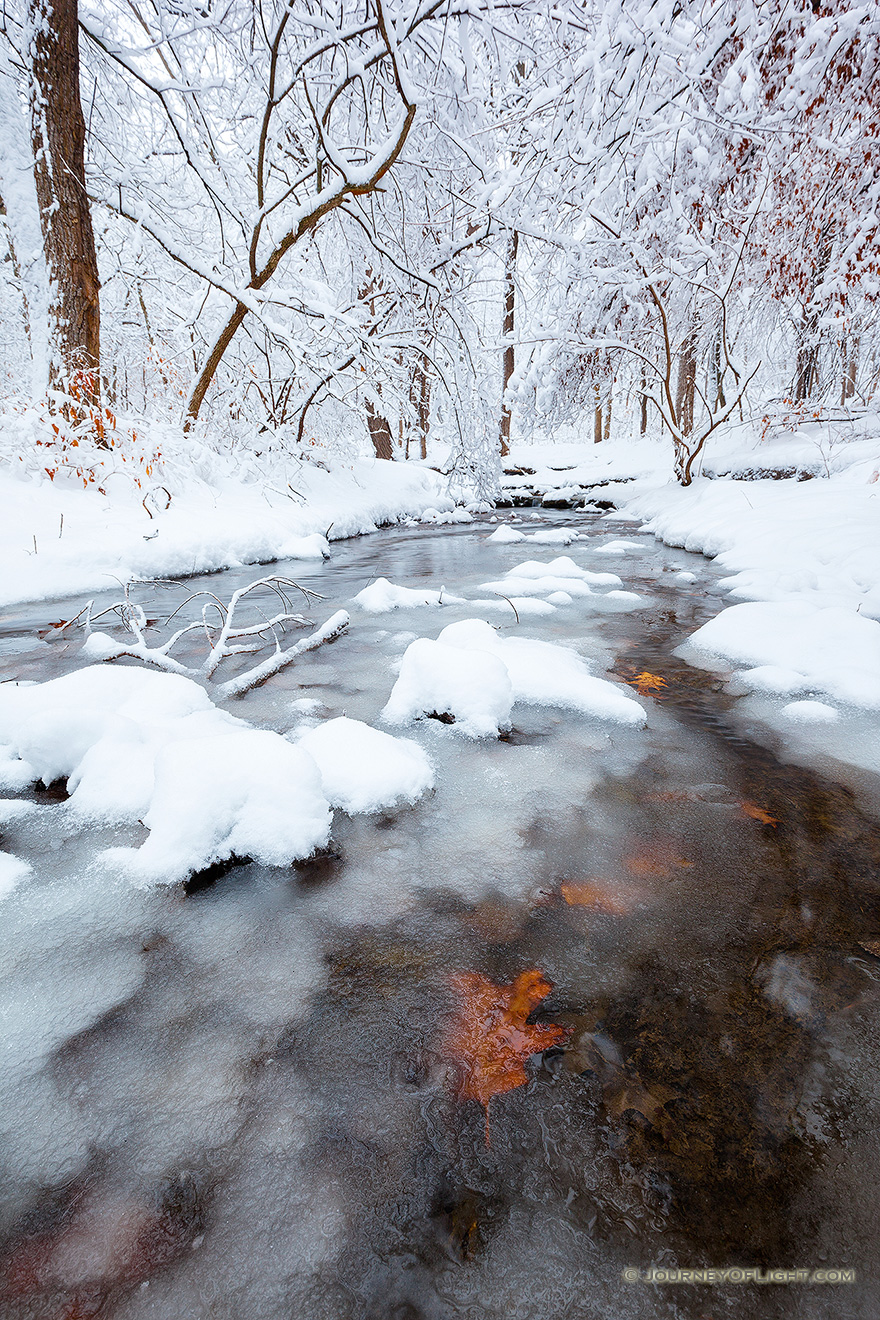 Autumn Oak leaves stick to the bottom of cold stream flows through Platte River State Park in eastern Nebraska on a winter's day. - Platte River SP Picture