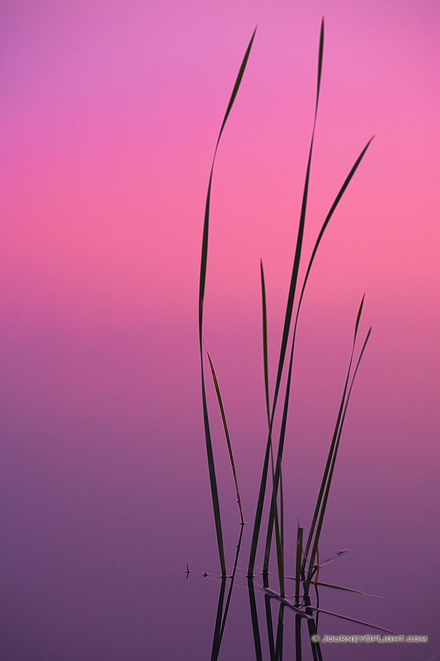 It was a calm evening at Mahoney State Park with the sun just below the horizon. The pinkish light was reflected off the clouds and then reflected and dispersed from the lake.  - Mahoney SP Picture