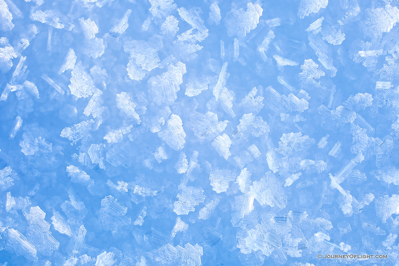 Different shapes and sizes of snowflakes stick to the top of a snow bank, each one glistening in the early morning sun. - Nebraska Picture