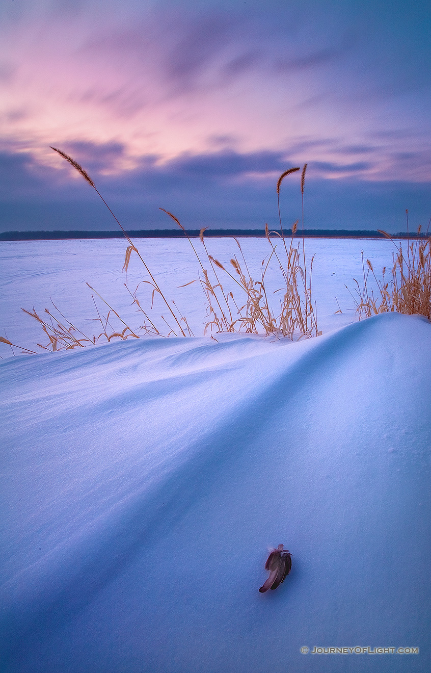 While photographing this winter sunset scene at DeSoto National Wildlife Refuge, I included a feather from a bird that evidently met an untimely end. - DeSoto Picture