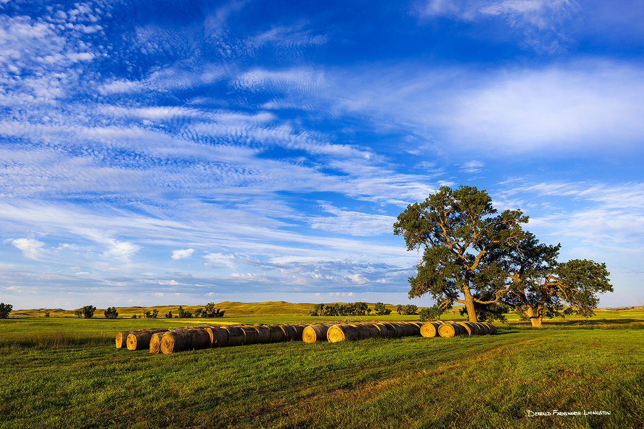 A scenic landscape photograph of hay bales and a group of trees in the sandhills of Nebraska. - Nebraska Picture