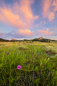 A Nebraska scenic landscape photograph of Fort Robinson State Park at sunrise with flowers and clouds. - Nebraska Photograph