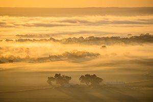 A scenic landscape photograph of the first sunrise light illluminating the fog across the Nebraska plains. - Nebraska Photograph