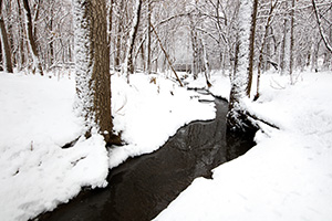 After a day of snowfall in eastern Nebraska, the OPPD Arboretum transforms into a bright winterscape. - Nebraska Photograph