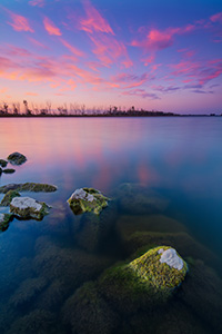 Quiet.  Peaceful.  The day ends with pink clouds and a purplish sky in the distance.  All is quiet save for the rustling of the nearby cottonwoods from a gentle easterly breeze.  This is my favorite time of the day, the time when shadows grow long and colors vivid. - Nebraska Landscape Photograph