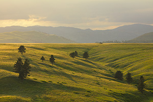 As an afternoon summer storm passes through the Black Hills of South Dakota, sunlight breaks through the clouds and streams light across the landscape. - South Dakota Photograph