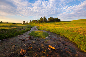 A stream meanders through the lush landscape at Wind Cave National Park in the Black Hills of South Dakota. - South Dakota Photograph