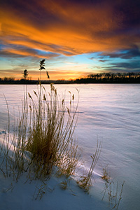 As the sun dipped below the horizon, the clouds lit up in the sky across the snow covered DeSoto Lake at DeSoto National Wildlife Refuge. - Nebraska Photograph