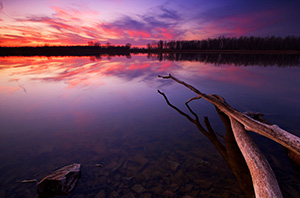 As the sun sets at DeSoto Bend National Wildlife Refuge the sky seems to light on fire.  This photograph was captured on a brisk, early spring evening, the remaining clouds streaked across the sky and reflected the colors of the setting sun. - Nebraska Photograph