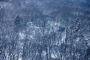 Twilight descends on Platte River State Park, Nebraska and causes a deep blue hue on the wintery landscape. - The_Midwest Photograph