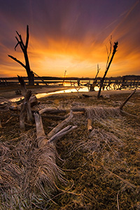 These 'Guardians' protect the exit of a little stream leaving Lake Wehrspann in Omaha, Nebraska. - Nebraska Photograph