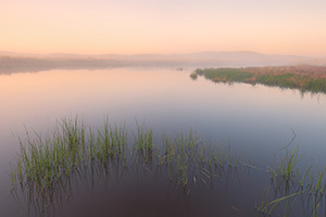 When I visited Crescent Lake National Wildlife Refuge this past May one of the things that struck me about the refuge was the quiet and remoteness.  Early one morning I hiked out to a little marshy area that was completely encased in fog.  I setup on the edge of one of the marshes and watched as the fog rolled through and eventually burned off.  The only sounds were the quacks of some ducks on a nearby lake and the rustle of prairie grass in a light breeze. - Nebraska Nature Photograph