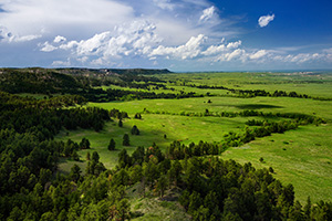 Gilbert-Baker WMA is part of the Pine Ridge escarpment in extreme western Nebraska.  It is so close to Wyoming, in fact, that the ridge that is furthest in the distance is the state border.  On this spring day I watched as storm clouds rolled through dropping rain and leaving everything a verdant green. - Nebraska Landscape Photograph