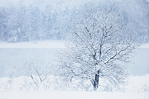 Snow falls on Wehrspann Lake at Chalco Hills Recreation Area on a cold February morning. - Nebraska Photograph