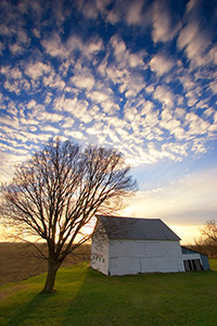 On an early spring evening in western Iowa, I photographed the sun setting behind an abandoned rustic barn and homestead which illuminated the nearby budding tree. - Iowa Photograph