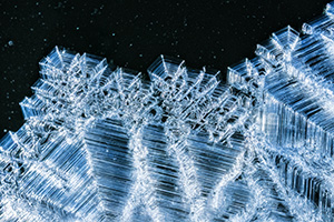 On a frigid winter day crystals form on Lake Wehrspann at Chalco Hills Recreation Area in eastern Nebraska. - Nebraska Close-Up Photograph