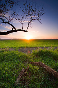 An early spring sunset descends upon DeSoto National Bend Wildlife Refuge. - Nebraska Photograph