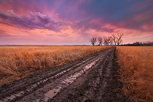 An early spring rain drenches the prairie landscape, creating reflective puddles in a newly plowed road. - Nebraska Photograph