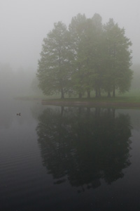 Alone by a small pond near the Gateway Arch, only a single duck for company barely visible through the fog. - Missouri Photograph