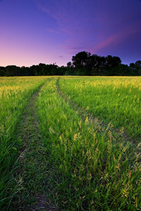 Just as the sun dipped below the horizon and I turned toward home, I found this country road that had been created through the grass.  I stopped quickly and was only able to make a couple of exposures before the all the light was gone. - Nebraska Photograph