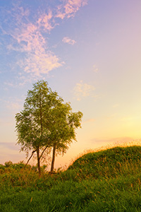 Two trees enjoy the sunset at Boyer Chute National Wildlife Refuge. - Nebraska Photograph