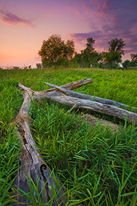 Evening descends at Boyer Chute National Wildlife Refuge. - Nebraska Photograph