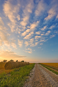 Hay bales line a country road that goes into the sunset while clouds float above. - Nebraska Photograph