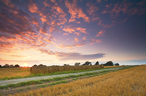 On a late summer evening, a collection of hay bales line a country road in Eastern Nebraska near Memphis State Recreation Area in the late summer. - Nebraska Photograph