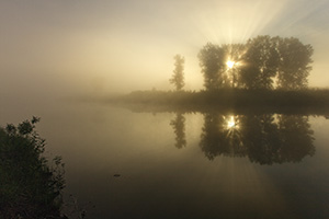 Morning fog rises from an offshoot of the Missouri at Ponca State Park in northeastern Nebraska. - Nebraska Photograph