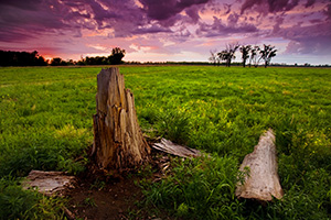 During the muggy summer, I photographed this storm rolling through the prairie at Boyer Chute National Wildlife Refuge in Nebraska. - Nebraska Photograph