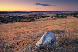 Trees and hills dominant the prairie landscape at Wind Cave National Park in South Dakota. - South Dakota Photograph