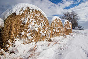 A white blanket of snow covers a row of hay bales in the country. - Nebraska Photograph