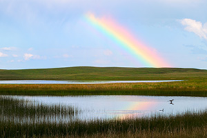 A rainbow appears reflected in a small lake after a storm in the Sandhills of Nebraska. - Nebraska Photograph