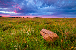 A scenic landscape photograph of a sunset and the prairie at Custer State Park, South Dakota. - South Dakota Photograph