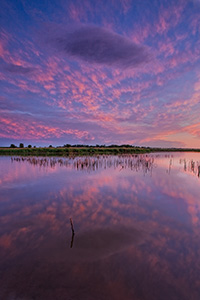 This photograph captures the light from the setting sun illuminating the underside of the higher clouds as a lone cloud floats through the scene. - Nebraska Landscape Photograph