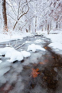 Autumn Oak leaves stick to the bottom of cold stream flows through Platte River State Park in eastern Nebraska on a winter's day. - Nebraska Landscape Photograph