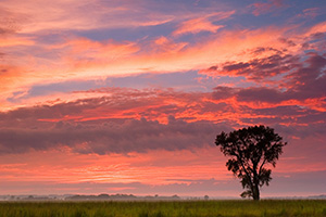 In the fall of 2006 I photographed this spectacular sunset at Boyer Chute National Wildlife Refuge across the prairie. - Nebraska Photograph