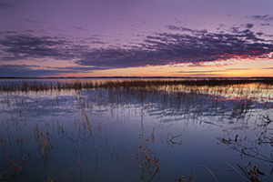A warm glow illuminates the horizon just prior to sunrise on the North Marsh lake at Valentine National Wildlife Refuge, Nebraska. - Nebraska Photograph