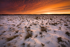 This photograph was taken 20 minutes after sunset when the clouds in the sky were still alit with the magnificent winter light at Desoto National Wildlife Refuge, Nebraska.  - Nebraska Photograph