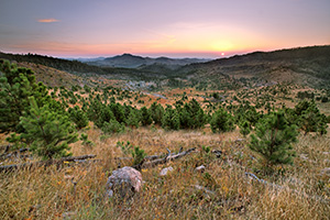 In the distance the sun rises above the peaks of the Black Hills in Custer State Park in South Dakota. - South Dakota Landscape Photograph