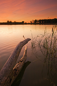 The Oxbow at DeSoto Bend National Wildlife Refuge ripples gently in the wind. - Nebraska Photograph