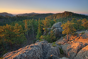 The Black Hills in South Dakota are known for their tall pine trees that cover the rolling hills. - South Dakota Photograph