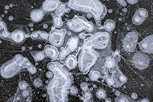 An abstract composition of bubbles under the ice at Shadow Lake, Nebraska. - Nebraska Close-Up Photograph