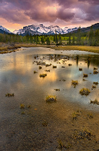 A tumultuous sky moves in over the Kootenay plains reflecting pools in the very late afternoon. - Canada Photograph