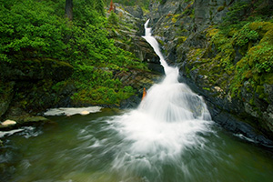Aster Falls in Glacier National Park, Montana. - 777 Photograph