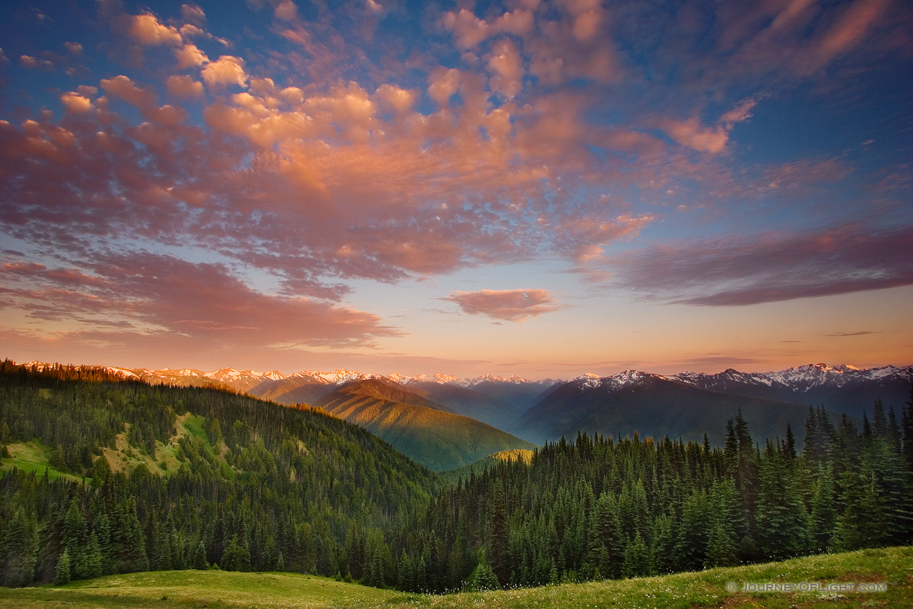 The Olympic Mountain Range in Olympic National Park from Hurricane Ridge.  Designated a 95% wilderness, Olympic National Park is located on the Olympic Pennisula in Washington state. - Pacific Northwest Picture