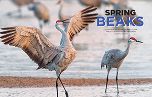 Nebraska Life - March/April 2020 - Contributed photography. - Tear Sheet Photograph